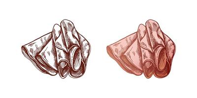 Hand-drawn colored and monochrome sketch of pork meat, ham slice, prosciutto vintage sketch. Butcher shop. Great for label, restaurant menu. Engraved image. vector