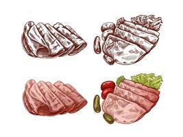 Hand-drawn colored and monochrome sketch of pork meat, ham slice, prosciutto vintage sketch. Butcher shop. vector