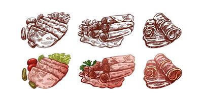 Hand-drawn monochrome and colored sketch of pork meat, ham slice, prosciutto vintage sketch. Butcher shop. vector