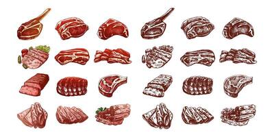 Set of hand-drawn colored and monochrome sketches of meat pieces, beef steak, ham, pork. Fresh meat products. For the design of menu, butcher shop. Vintage engraved. vector