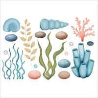 Hand drawn set with algae,corals, shells, pebbles. Watercolor illustration vector