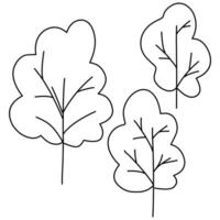 Forest, Trees Illustration on a white background vector