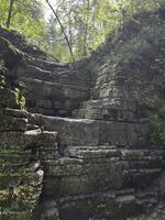 The Majestic Stone Steps Are Beautifully Surrounded by Lush and Vibrant Greenery in Nature photo