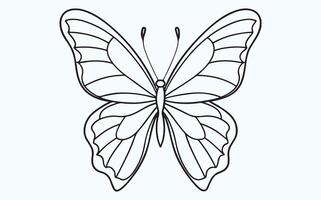 Elegant Butterfly Wings in Line Art vector