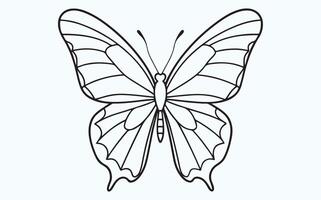 Butterfly Wings in Line Art image vector