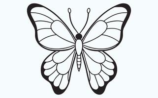 Butterfly in Flight Sketch image vector
