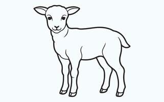 Lamb line art vector