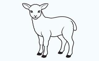 Lamb line art image vector