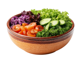 A bowl filled with vegetables and salad png