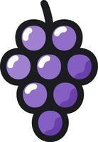 A purple grape with many small grapes on it vector