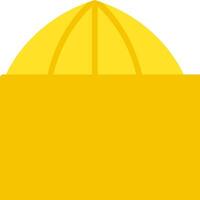 A yellow hat with a white background vector