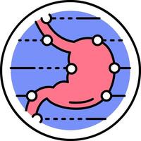 An illustration of the stomach and the digestive system vector
