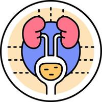 An illustration of a kidney in a circle vector