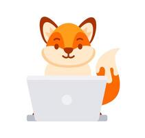 Cute cartoon fox sitting at laptop computer working or studying vector