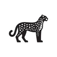 Standing a leopard on white background. vector