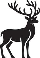 A deer standing on white background. vector