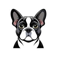A cartoon dog with big eyes and a white background vector