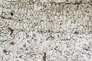 Plastic abstract texture. Surface grunge backdrop. Dirty effect pattern. Material background. photo