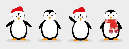 Set of Christmas penguins. Penguins. graphics in cartoon flat style vector