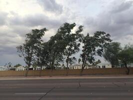 Windy Day, Trees Blowing, Monsoon Season in Apache Junction, Arizona photo