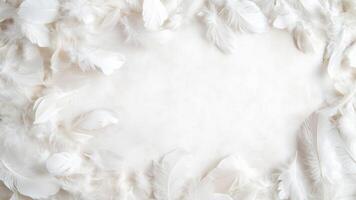 White feathers are creating a frame around a white background with copy space in the center photo
