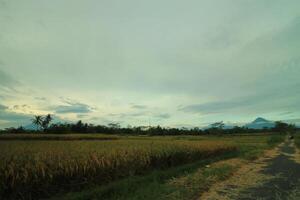a view of a road and a field with a sky in the background photo