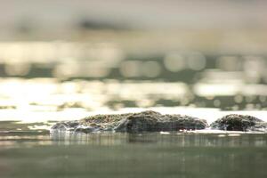 a rock in the water of ocean photo