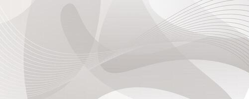 White background modern abstract with dynamic curve line elegant. Illustration template design vector