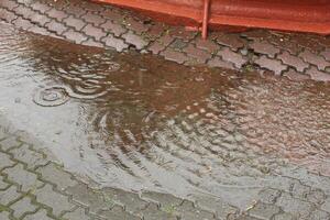 puddle during the rain. Circles from raindrops. A puddle during the rain. Ripples on the water photo