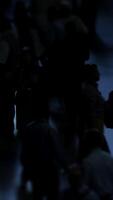 Crowd Silhouettes in Dim Light create an atmosphere that captures diverse human interactions video