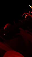 Vibrant and Colorful Abstract Lines in Motion Set Against a Dark and Striking Background video