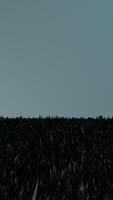 uma sereno panorama apresentando uma Sombrio campo contrastado com uma suave e tranquilo céu acima video