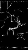 Dynamic Network Visualization Through the Use of Geometric Structures and Designs video