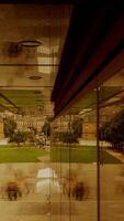 Exploring the Reflections in Architecture A Unique Perspective on Urban Green Space Views video