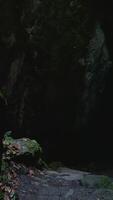 A Mystical Cave Entrance that is Beautifully Surrounded by Lush and Vibrant Greenery video