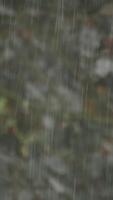 The Impact of Rainfall on the Natural Background and How it Enhances the Environment video