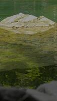 Calm and Serene Reflections on the Water Surface Surrounded by Rocks and Natures Beauty video
