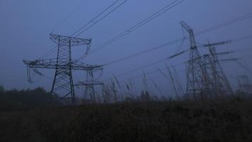 Dense fog envelops a field as power lines loom in the ethereal twilight. The stillness captures the contrast between nature and energy infrastructure. video