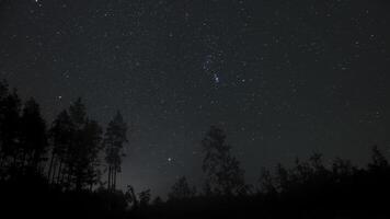 Experience a peaceful night in the forest, beneath a vast sky filled with stars and visible constellations, creating a tranquil atmosphere. The stars move across the night sky. video