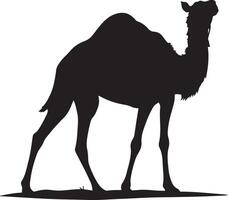 A silhouette of a camel on a white background vector