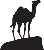 Silhouette of camel on rock vector