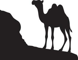 Silhouette of camel on rock vector