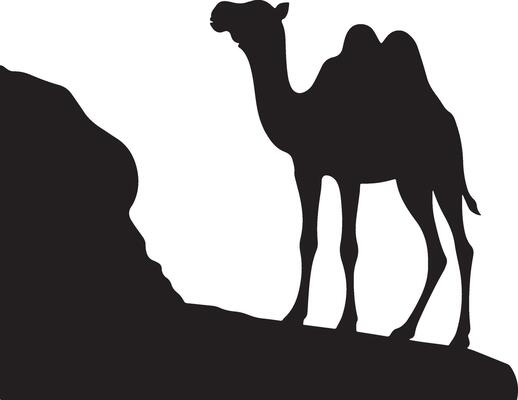 Silhouette of camel on rock