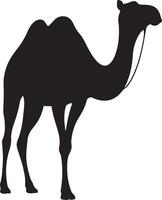 A camel silhouette is shown in black on a white background vector