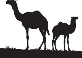 Camels in silhouette on a white background vector