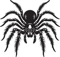 A black spider on a white background vector