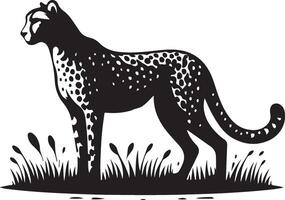The cheetah is standing in the grass with the word wild life vector