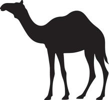 A camel silhouette is shown on a white background vector