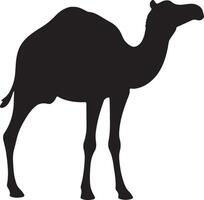 A camel silhouette is shown in black on a white background vector