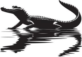Alligator silhouette in water with reflection vector